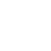 DISKO agency